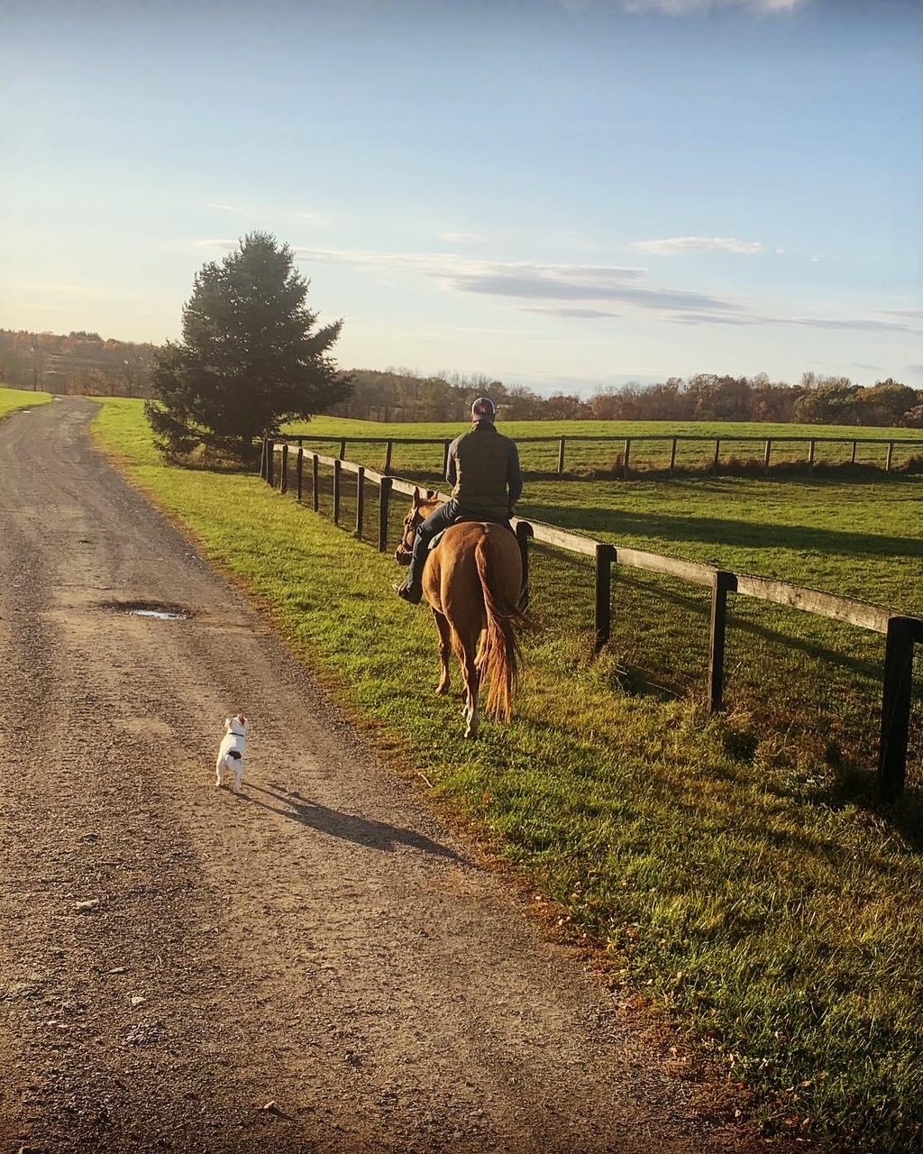 Jerry Bilinski riding out along the farm lane at Waldorf, dog trailing behind