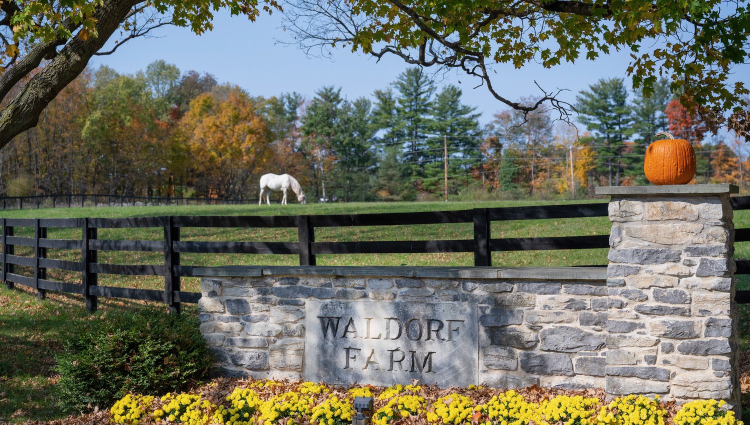 Stone entrance sign at Waldorf Farm, with a horse grazing beyond the fence line
